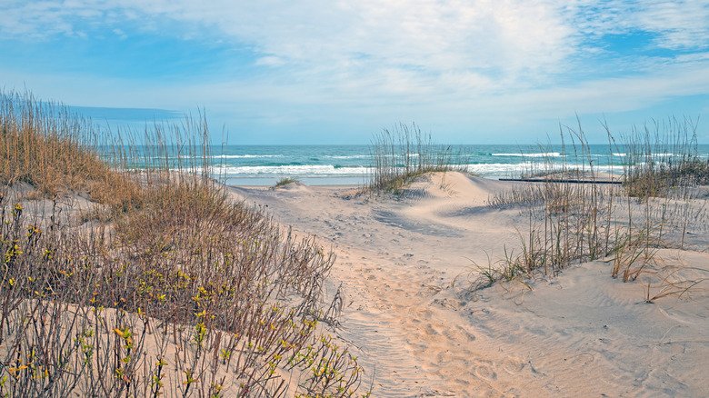 A sandy Outer Banks beach