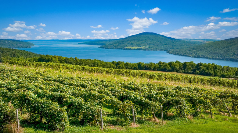 Canandaigua Lake in Finger Lakes