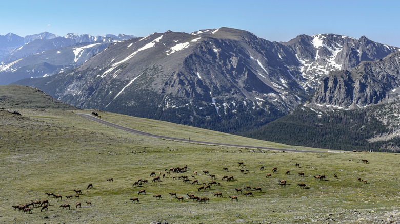 Trail Ridge road mountains and ek