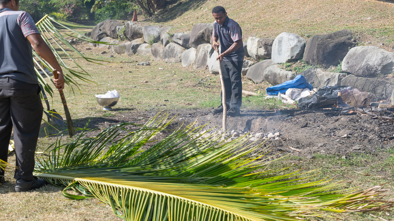 Preparing a lovo in Fiji