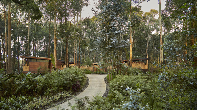 The bungalows at One & Only Gorilla's Nest