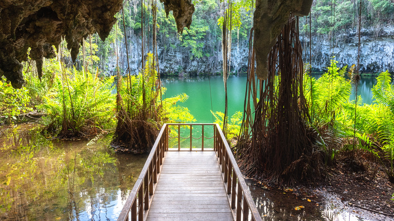 Overlook next to water at Three Eyes National Park