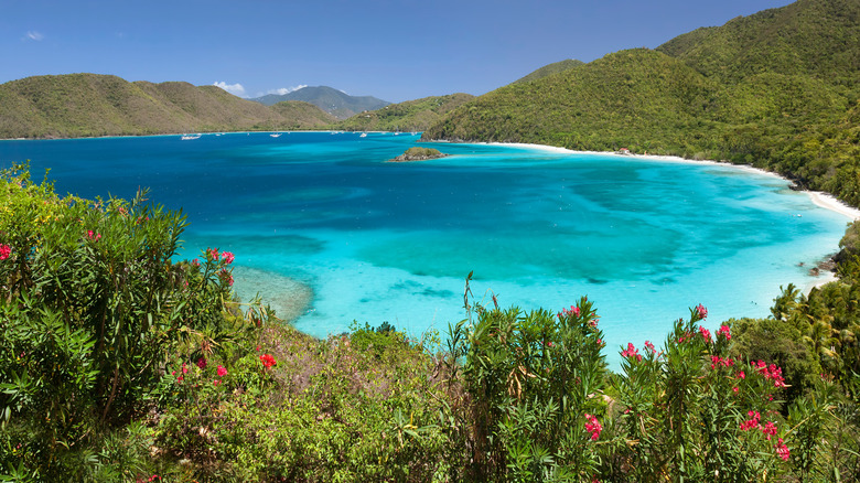Cinnamon Bay Beach
