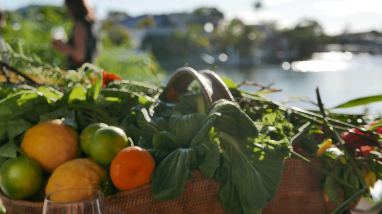 Noosa food festival, Australia