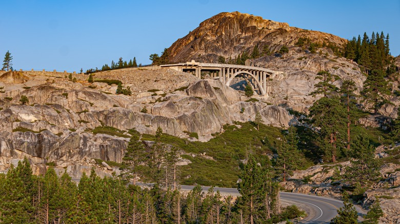 A bridge arches over mountainous terrain dotted with trees