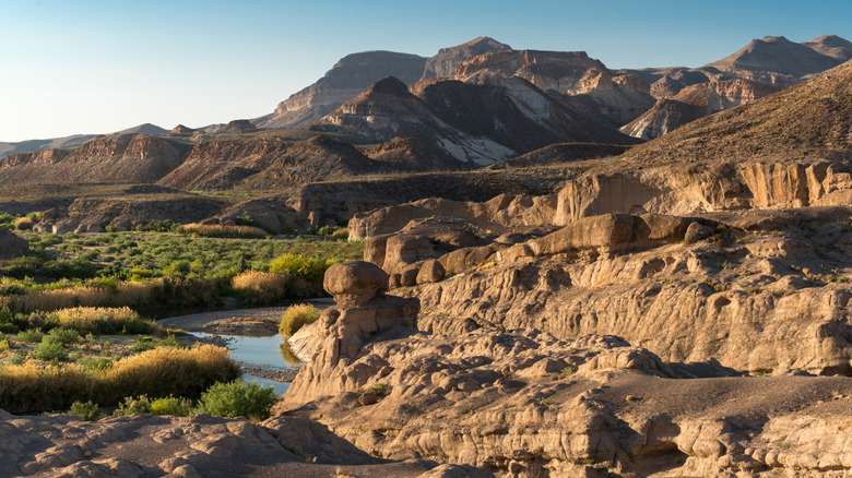 The rugged mountains of Big Bend Ranch State Park