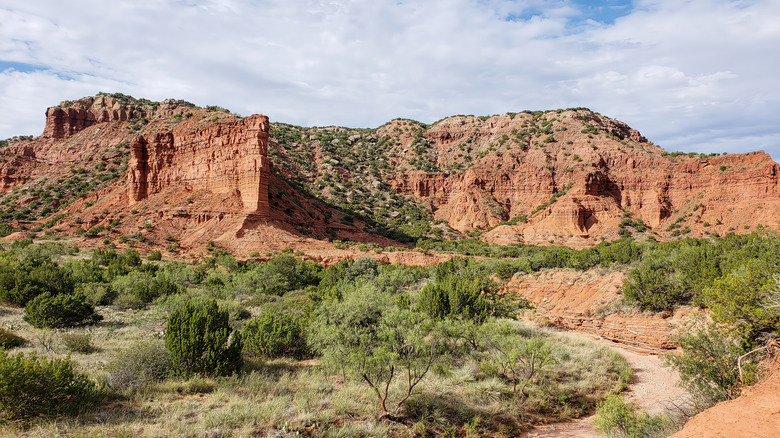 Red cliffs comprise Caprock Canyon State Park