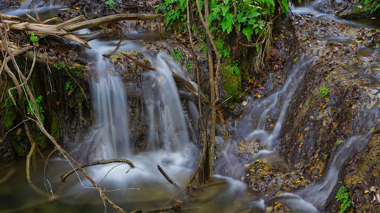 Cascading Gorman Falls at Colorado Bend State Park