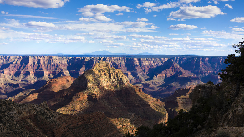 the North Rim of the Grand Canyon at dusk
