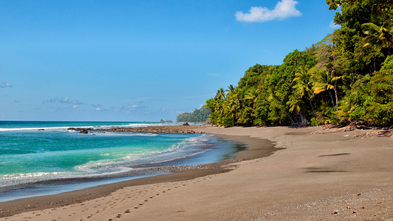 beach in Osa Peninsula