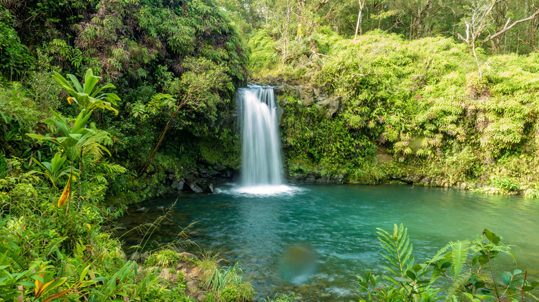 waterfall in Maui