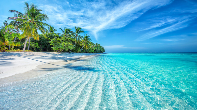 clear water in Maldives
