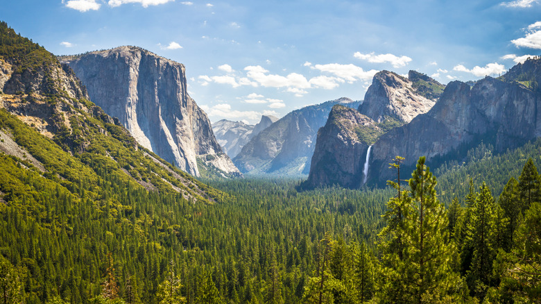 Mountains and greenery in Yosemite National Park, California.
