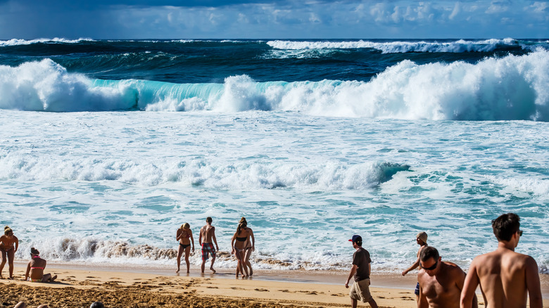 winter swell in Hawaii