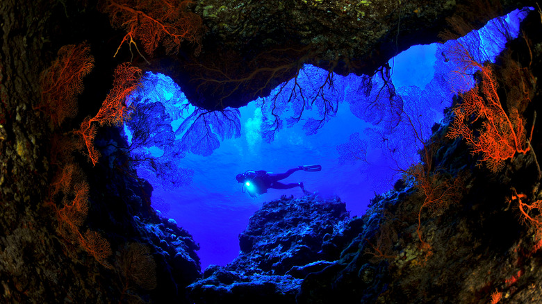 Person scuba diving in Saipan