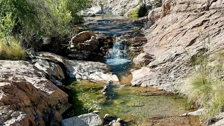 A small waterfall at the Turkey Creek Hot Springs