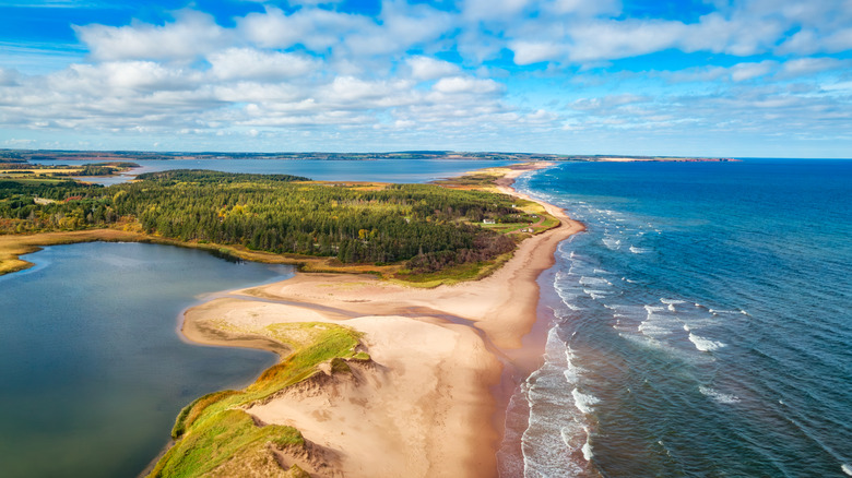 Aerial view of Cavendish Beach, Prince Edward Island