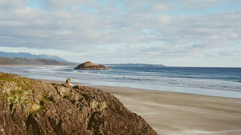 A man sits on a rock overlooking Long Beach, British Columbia