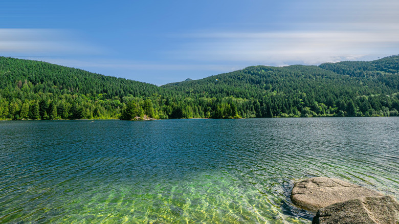 The clear waters and wooded surroundings of Hicks Lake in Sasquatch Provincial Park