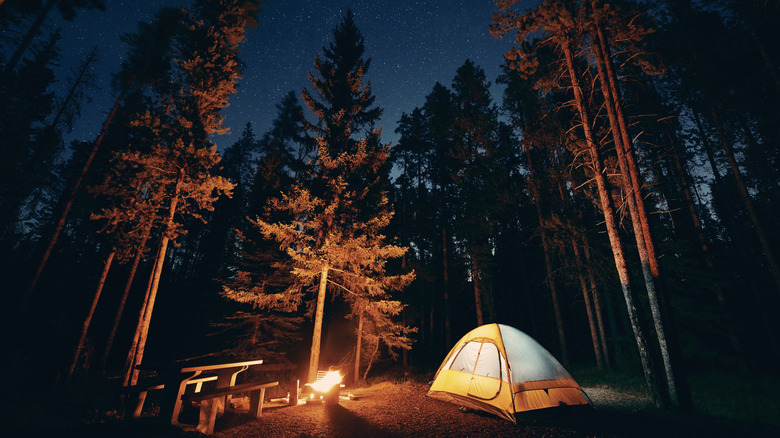 Camping under stars with bonfire and tent in Banff National Park