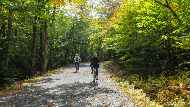 Two women biking on the Acadia carriage roads in the woods