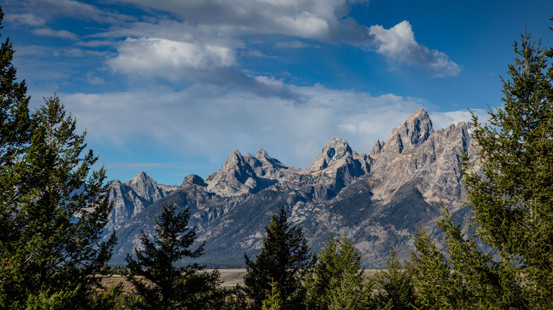Snake River Overlook in Grand Teton National Park