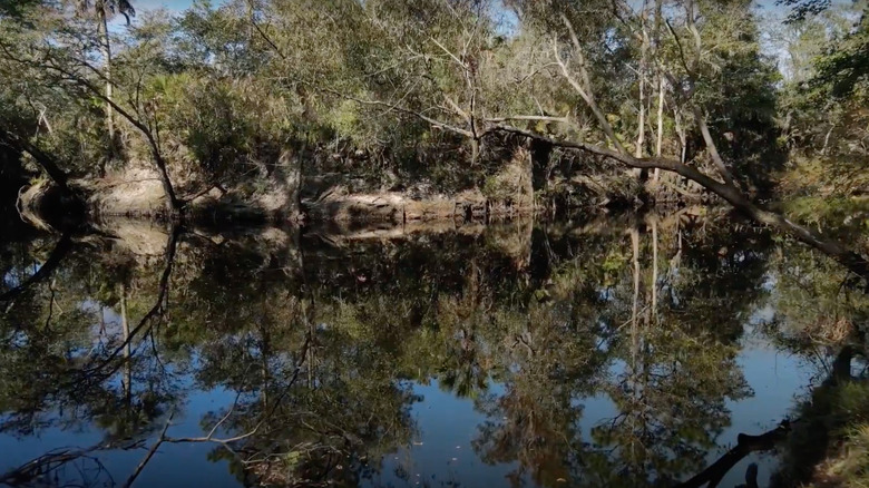 Water at Aucilla Sinks Trail