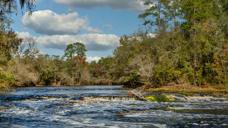 Big Shoals State Park rapids