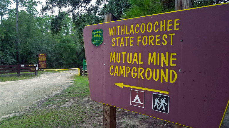 Withlacoochee State Forest sign