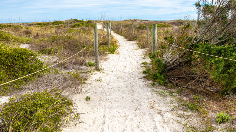 Little Talbot Island State Park