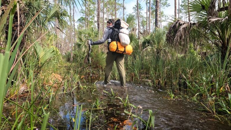 HIker in Florida