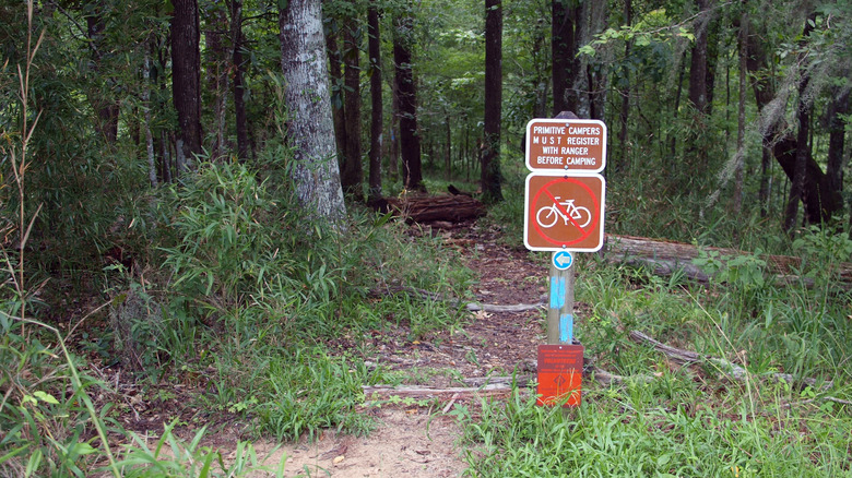 Torreya State Park hiking trail