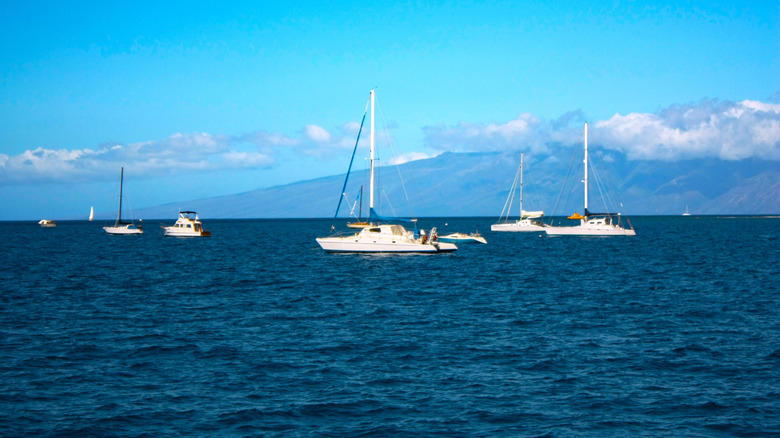 Sailboats at Kahului Harbor off the coast of Maui, Hawaii