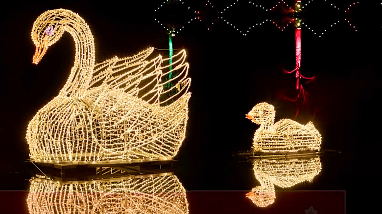 Glowing lights at Fantasy in Lights at Callaway Resort and Gardens, Pine Mountain, Georgia.