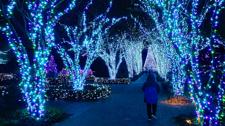 Glowing tree lights at Garden Lights, Holiday Nights, Atlanta.