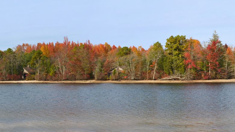 A lakeshore backed by autumnal-colored trees