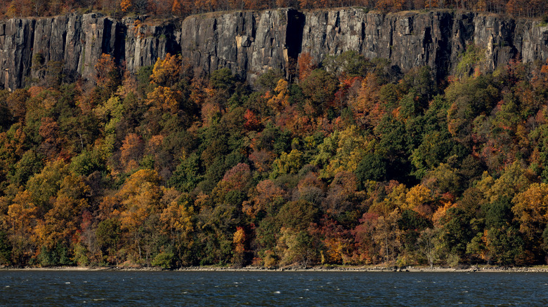 A river shoreline backed by trees and a rocky ledge