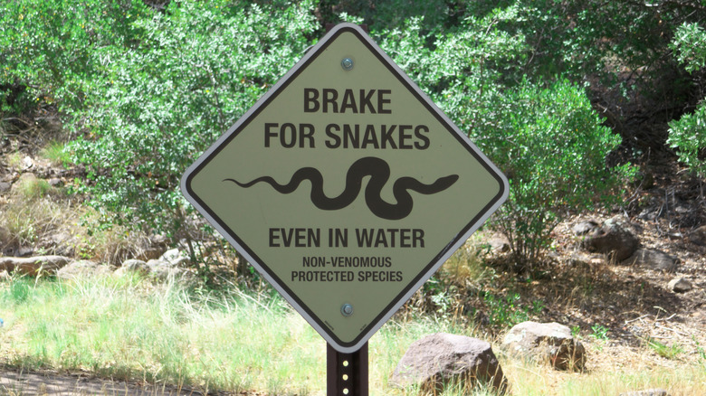 Yellow and black street sign in Sedona Arizona that reads "Brake for snakes even in water"