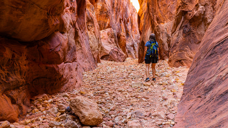Hiker in Buckskin Gulch