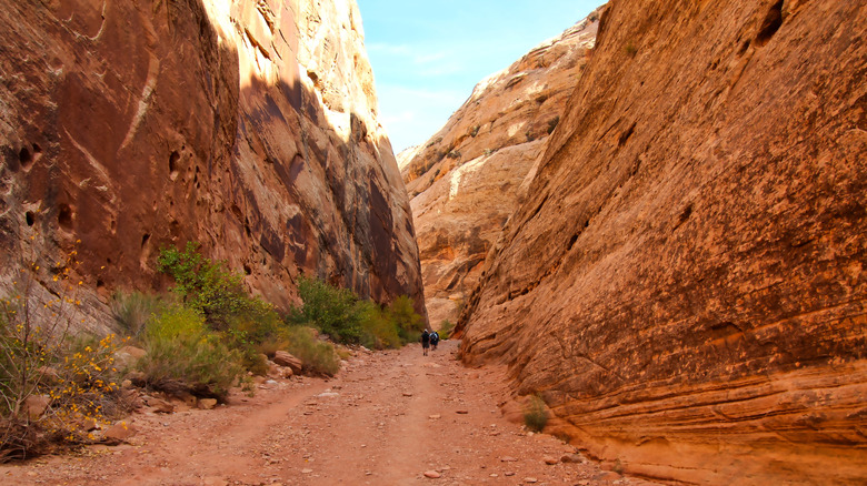 Hikers on Capitol Gorge Trail