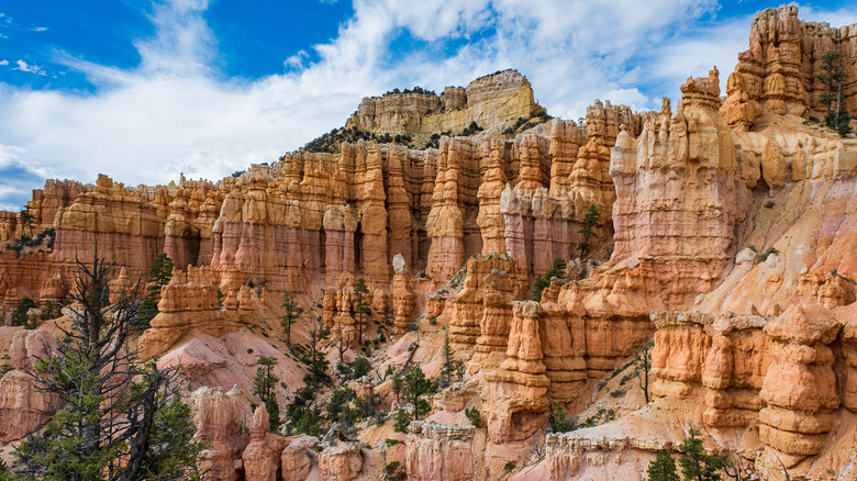 Fairyland Loop in Utah