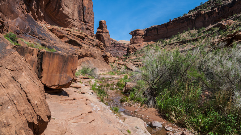 Hunter Canyon Trail in Utah