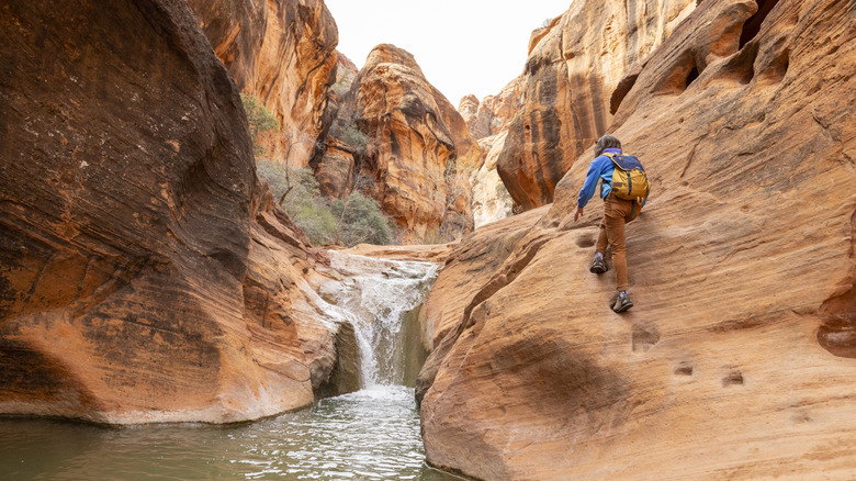 A canyon in America