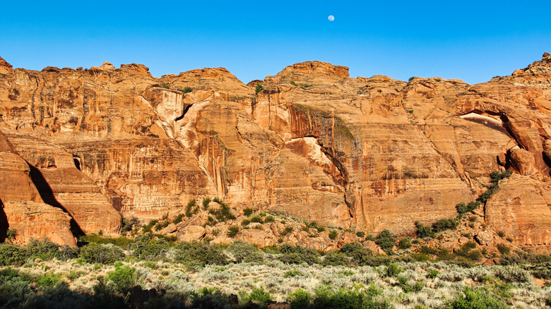 Terrain by Jenny's Canyon, Utah