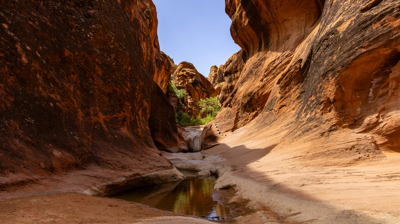 Red Reef Trail in Utah