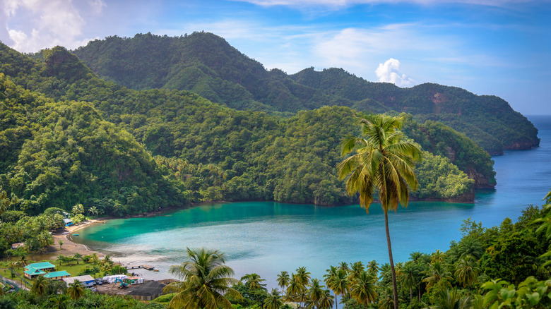 The terrain of St. Vincent