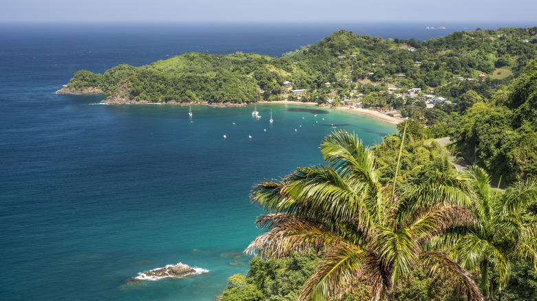 A bay in Tobago