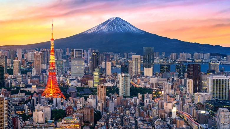 Tokyo with Mount Fuji in the background
