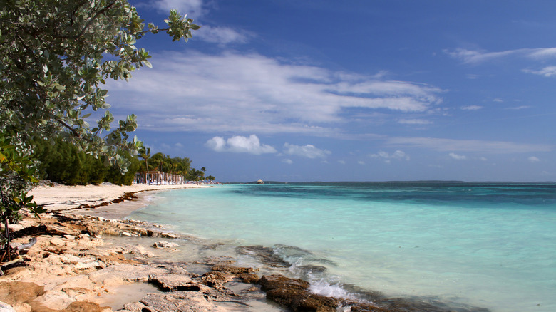 Shoreline in Coco Cay, Berry Islands, The Bahamas