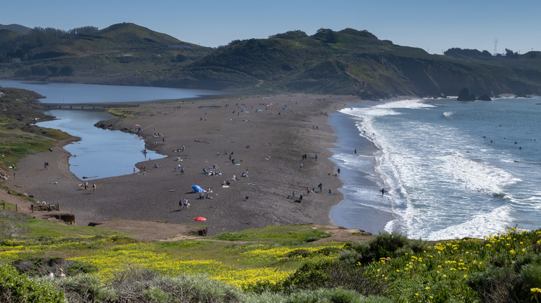 A black beach in Sausalito